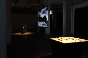 On Material-c-andresauer