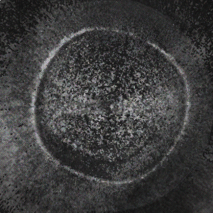 Musungu_luciengaudion